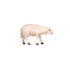 801260 Schaf stehend vorwrts