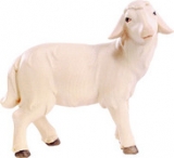4551 Schaf stehend rechts