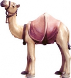 4595 Kamel stehend