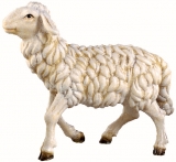 4355 Schaf gehend