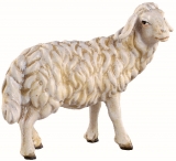4351 Schaf stehend